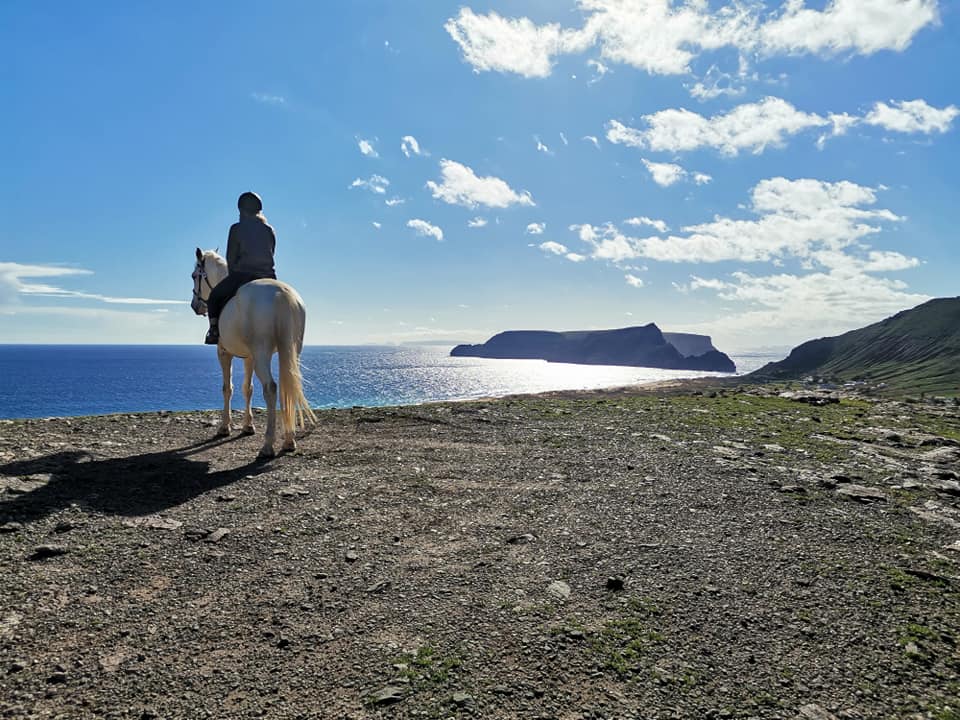 Passeios pela ilha a cavalo - Porto Santo